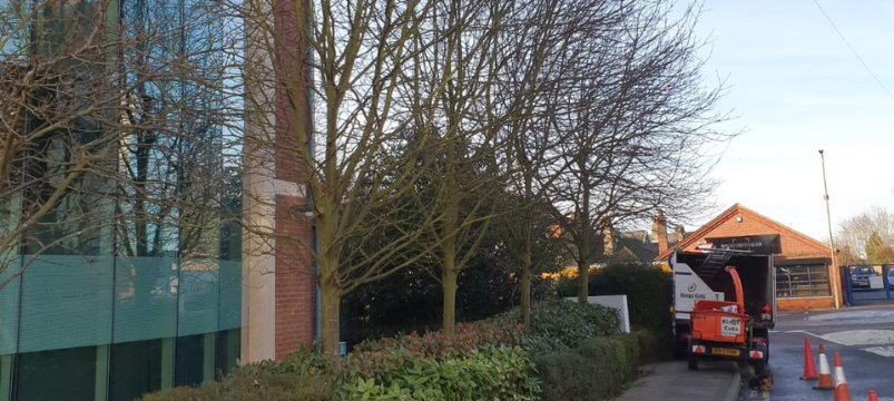 Formative & General Tree Pruning block image