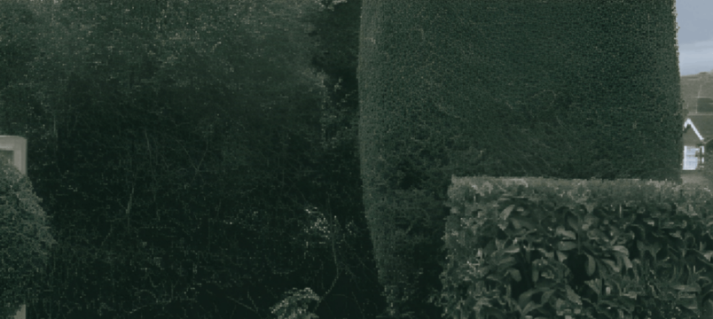 Professional Hedge Trimming Services in Dagenham, Essex block image